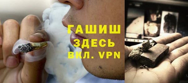 гидра Верхний Тагил