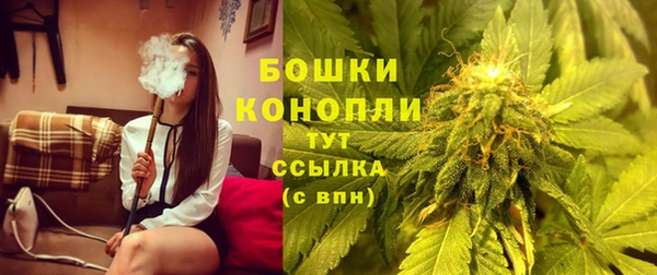 гидра Верхний Тагил
