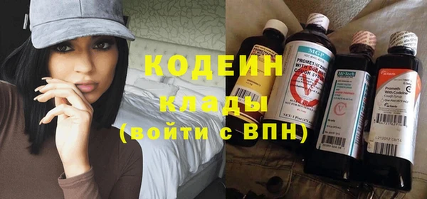 гидра Верхний Тагил